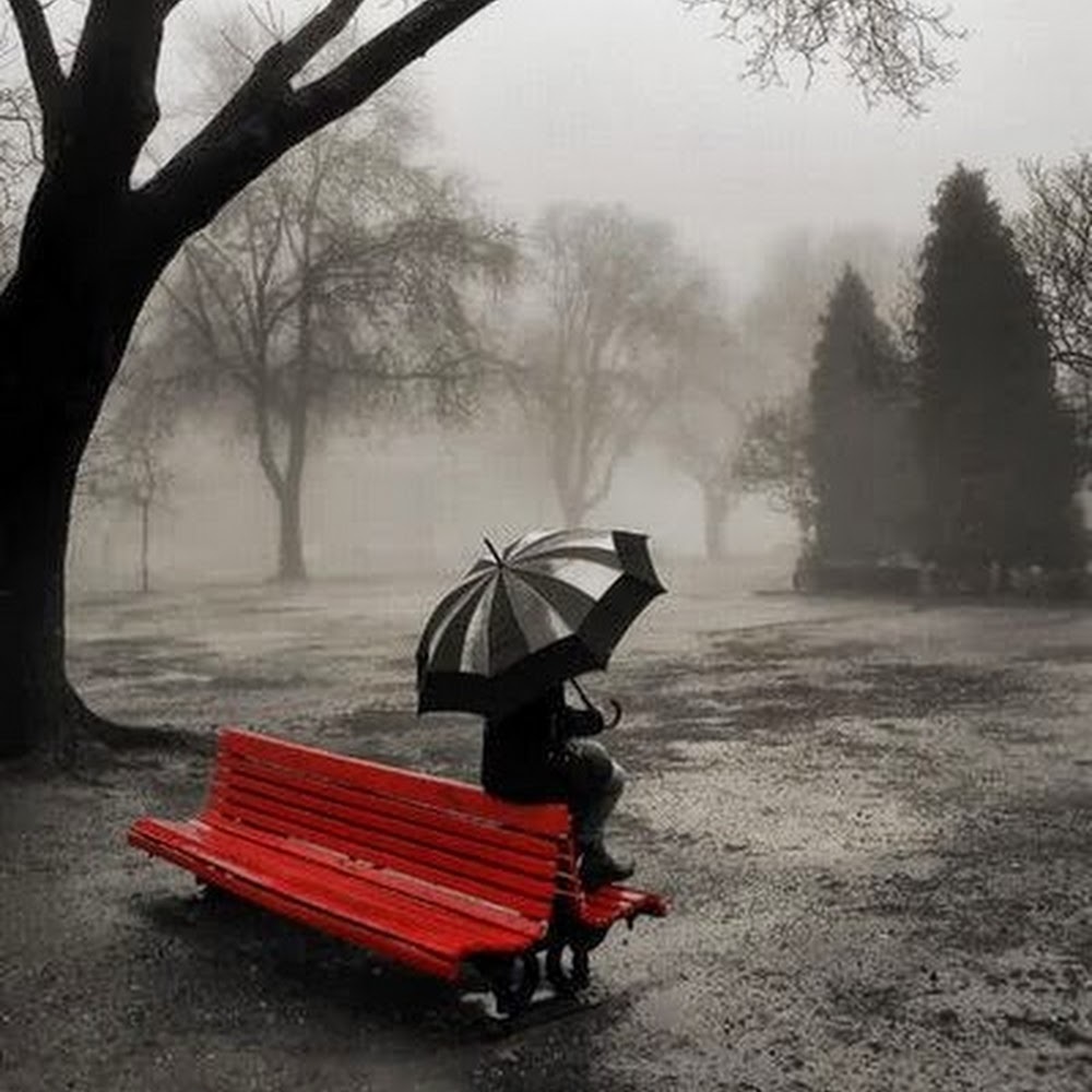 Meet your Posher, Mo